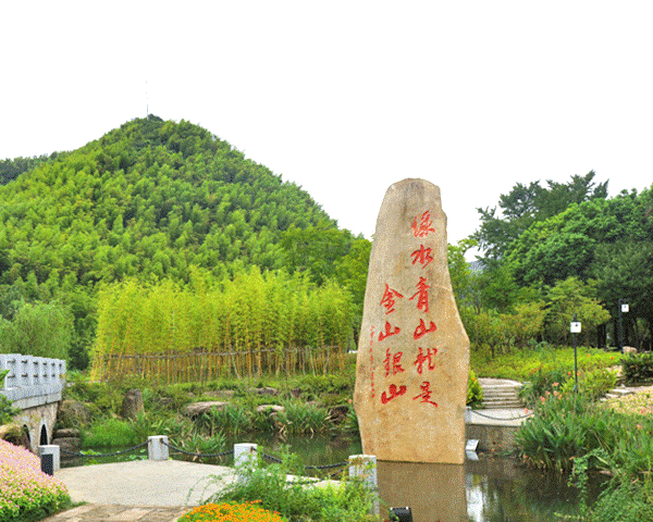 林泉環保喜報